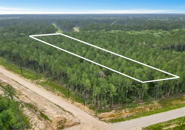 Homes for sale in Sour Lake, TX | 6773 Black Cat Rd, Sour Lake, TX 77659 | MLS# 10313850