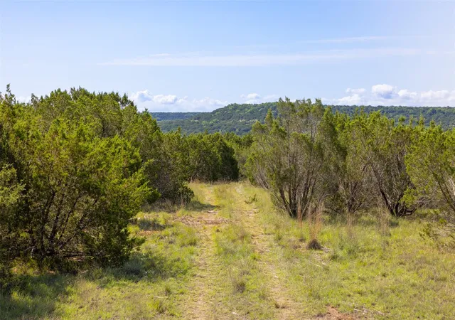 Homes for sale in Lometa, TX | 000 County Road 2773, Lometa, TX 76853 | MLS# 81638906