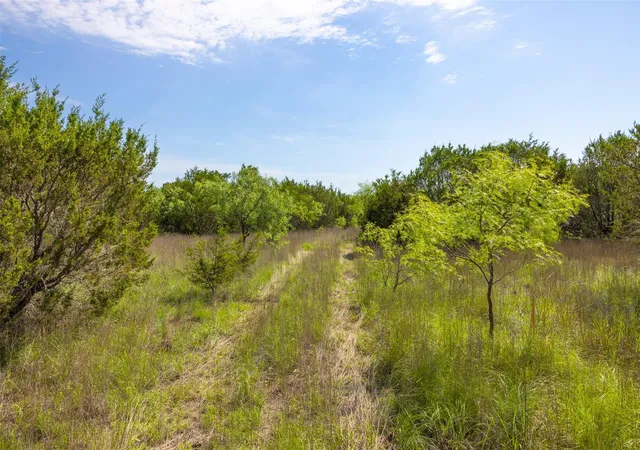 Homes for sale in Lometa, TX | 000 County Road 2773, Lometa, TX 76853 | MLS# 81638906