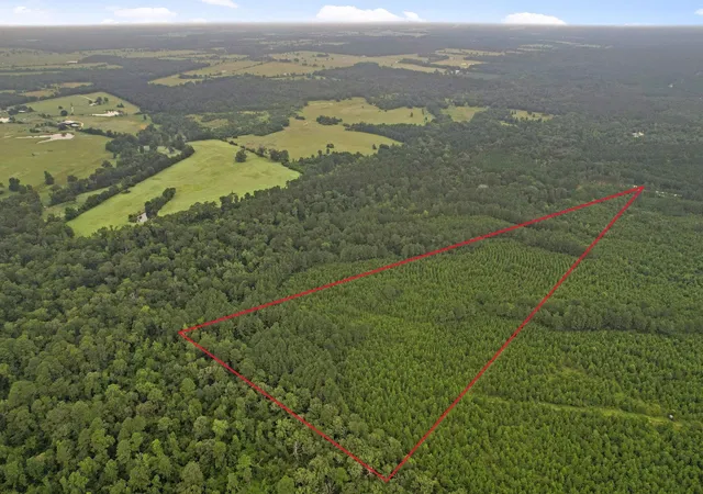 13th image of Tract 11 Fm 230, Lovelady, TX 77854 | MLS# 33348248