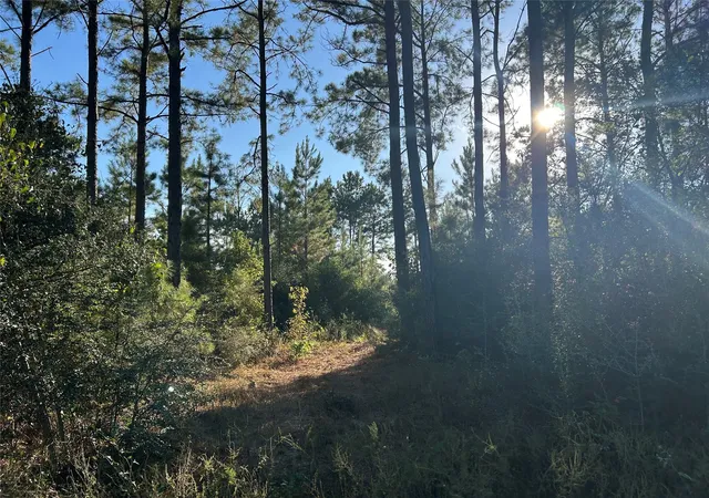 2nd image of Tract 11 Fm 230, Lovelady, TX 77854 | MLS# 33348248