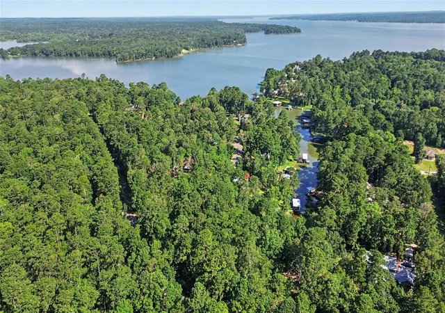 2nd image of 20 Lower Cove Dr, Pointblank, TX 77364 | MLS# 51080898