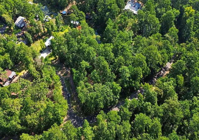 4th image of 20 Lower Cove Dr, Pointblank, TX 77364 | MLS# 51080898