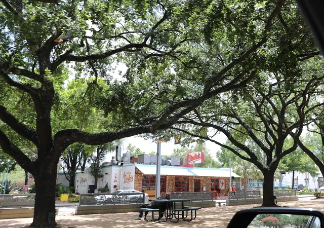 Photo 3 of Land for sale at 305 Everton St, Houston, TX 77003 | MLS# 68680739 | Listing updated on 2026-09-12