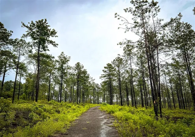 5th image of 05 Cr 257, Jasper, TX 75951 | MLS# 56263772