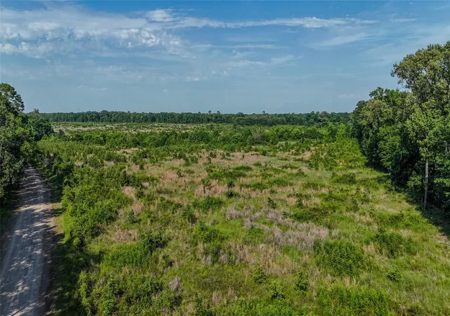 Homes for sale in Annona, TX | County Rd 4621, Annona, TX 75550 | MLS# 8501428