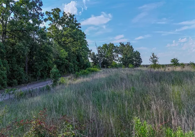 Homes for sale in Annona, TX | County Rd 4621, Annona, TX 75550 | MLS# 8501428