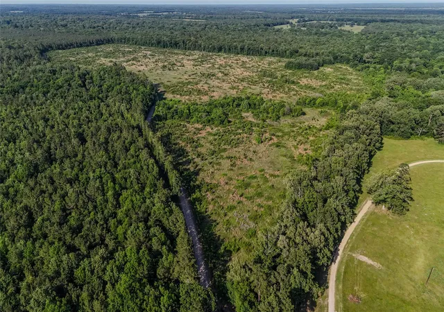 Homes for sale in Annona, TX | County Rd 4621, Annona, TX 75550 | MLS# 8501428
