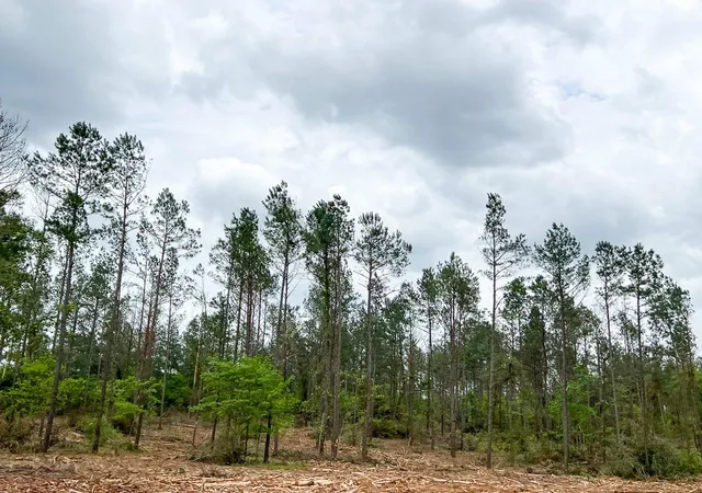 3rd image of 15 Cr 2140, Crockett, TX 75835 | MLS# 53607488