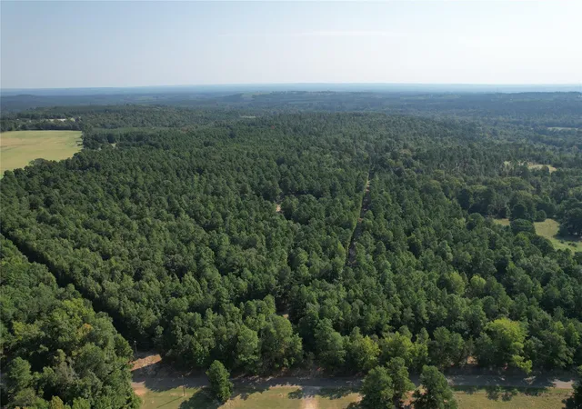 Land for sale at Tbd An County Rd 1220, Grapeland, TX 75844 | MLS# 12796887
