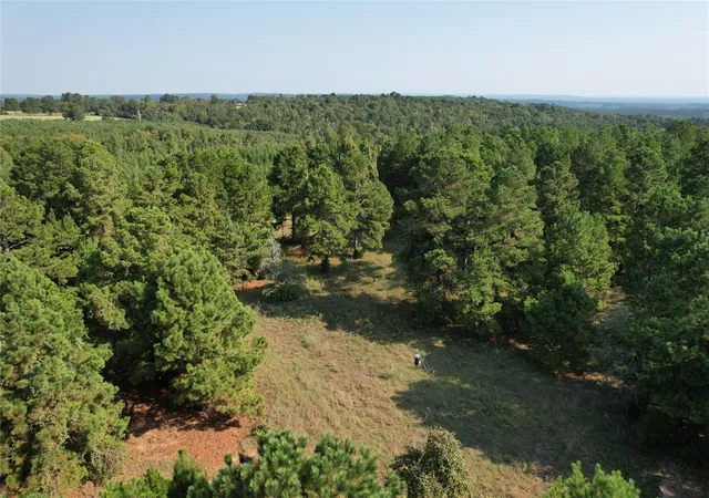 Photo 1 of Land for sale at Tbd An County Rd 1220, Grapeland, TX 75844 | MLS# 12796887 | Listing updated on 2026-09-08