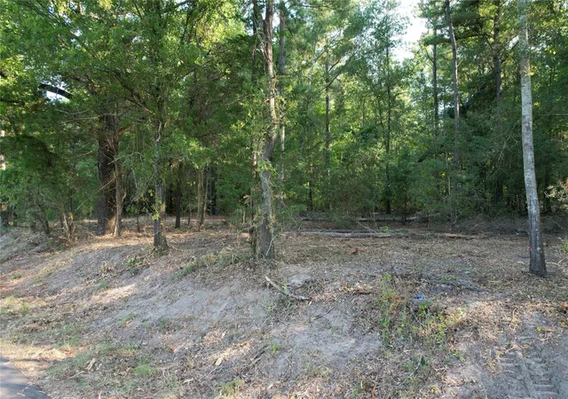 Photo 2 of Land for sale at Tbd An County Rd 1220, Grapeland, TX 75844 | MLS# 12796887 | Listing updated on 2026-09-08