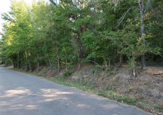 Photo 3 of Land for sale at Tbd An County Rd 1220, Grapeland, TX 75844 | MLS# 12796887 | Listing updated on 2026-09-08