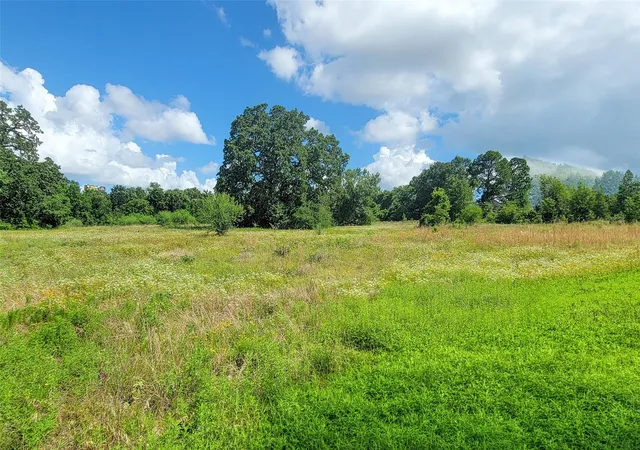 1st image of 3133 Rolling Ridge Ln, Brenham, TX 77833 | MLS# 93477341