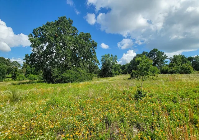 Photo 4 of Land for sale at 3133 Rolling Ridge Ln, Brenham, TX 77833 | MLS# 93477341 | Listing updated on 2026-06-11