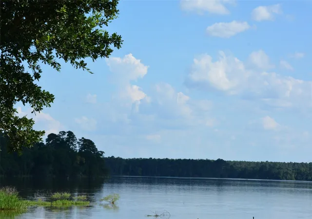 Photo 3 of Land for sale at 82 Hillsborough Dr, Huntsville, TX 77340 | MLS# 17449613 | Listing updated on 2026-07-22