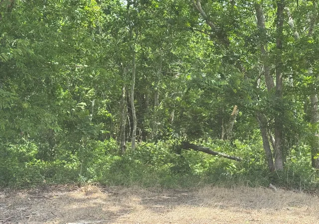 Photo 2 of Sale Pending at 214 County Rd 230, Wharton, TX 77488 | MLS# 2205783 | Listing updated on 2026-09-08