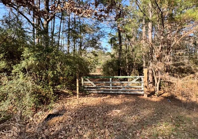 1st image of 24728 Shady Oaks Blvd, Montgomery, TX 77316 | MLS# 72553311