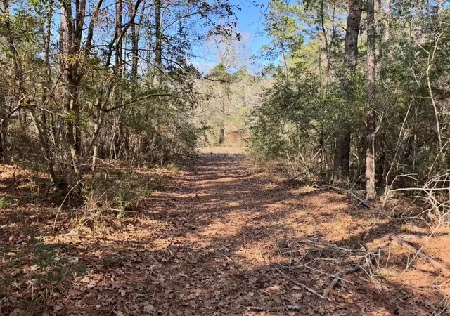Photo 3 of Land for sale at 24728 Shady Oaks Blvd, Montgomery, TX 77316 | MLS# 72553311 | Listing updated on 2026-08-12