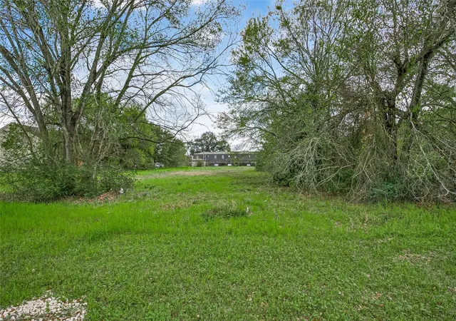 30th image of Tbd East Ave, Katy, TX 77493 | MLS# 85355062