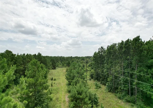 3rd image of Tbd State Hwy 242, Conroe, TX 77385 | MLS# 48509093