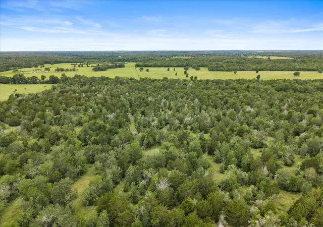 Photo 3 of Land for sale at 288 Charcoal Rd, Waelder, TX 78959 | MLS# 18395341 | Listing updated on 2026-06-01