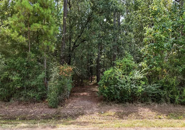 Photo 1 of Sale Pending at 126 County Road 126, Liberty, TX 77575 | MLS# 38703919 | Listing updated on 2026-09-04
