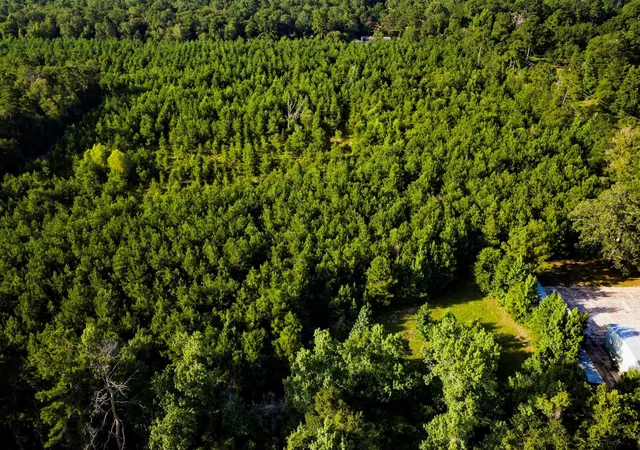 Photo 13 of Land for sale at 1378 N Duck Crk B Rd, Cleveland, TX 77328 | MLS# 66499004 | Listing updated on 2026-09-10