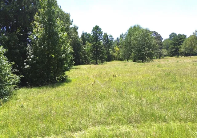 5th image of 354 County Road 3025, Crockett, TX 75835 | MLS# 45840102