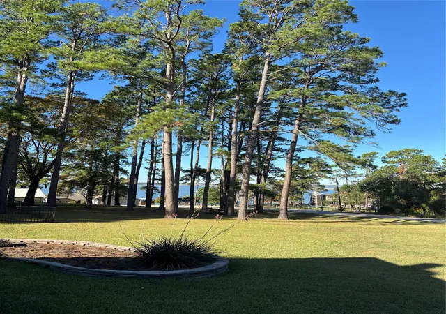 2nd image of 145 Bridgeway, Onalaska, TX 77360 | MLS# 80740898