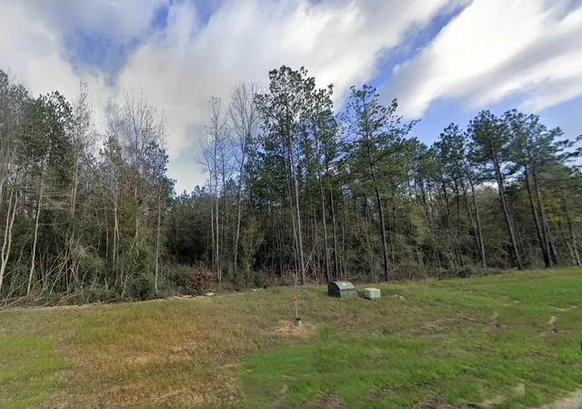 Photo 4 of Land for sale at 16152 Forest Ml Rd, Willis, TX 77378 | MLS# 13977070 | Listing updated on 2026-09-14