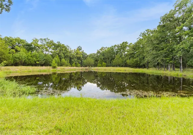 Photo 3 of Sale Pending at 289 William Thomas Rd, Huntsville, TX 77320 | MLS# 57506064 | Listing updated on 2026-09-25