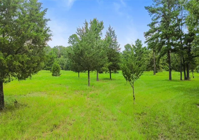 Photo 4 of Sale Pending at 289 William Thomas Rd, Huntsville, TX 77320 | MLS# 57506064 | Listing updated on 2026-09-25