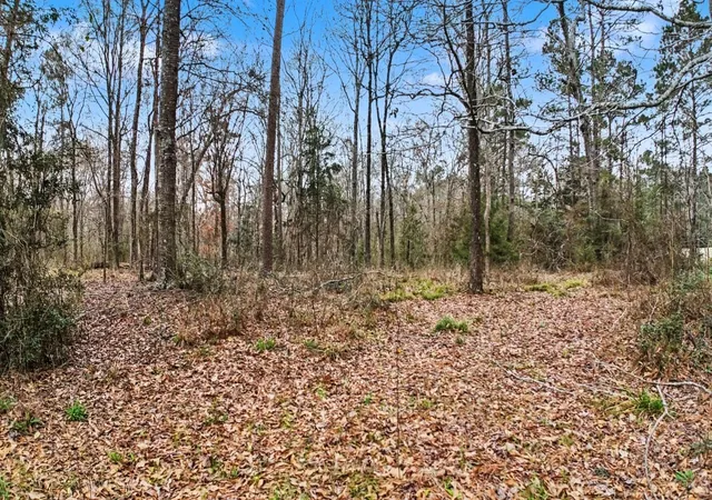 Photo 3 of Land for sale at Tbd Us Hwy 96 S Hwy, San Augustine, TX 75972 | MLS# 97070719 | Listing updated on 2026-08-27