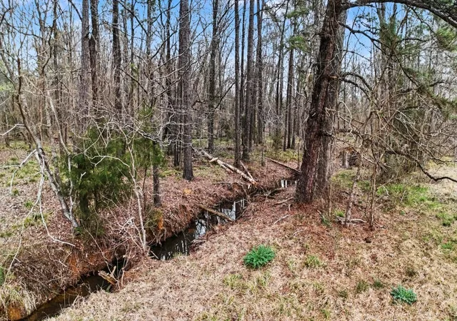 Photo 4 of Land for sale at Tbd Us Hwy 96 S Hwy, San Augustine, TX 75972 | MLS# 97070719 | Listing updated on 2026-08-27