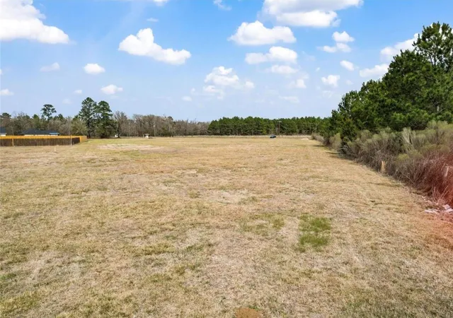 Photo 3 of Land for sale at L 138 Fm 3126, Livingston, TX 77351 | MLS# 31860572 | Listing updated on 2026-08-22