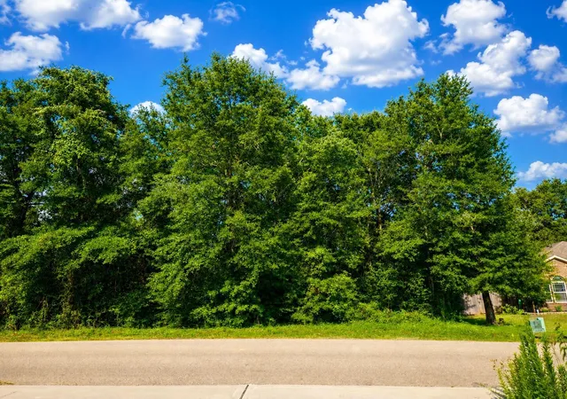 Photo 2 of Land for sale at 12294 Lake Conroe Hills, Willis, TX 77318 | MLS# 46932682 | Listing updated on 2026-07-20