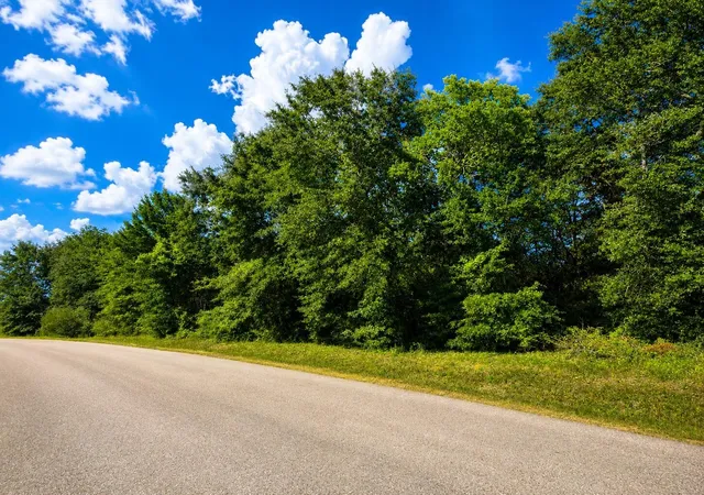 Photo 3 of Land for sale at 12294 Lake Conroe Hills, Willis, TX 77318 | MLS# 46932682 | Listing updated on 2026-07-20