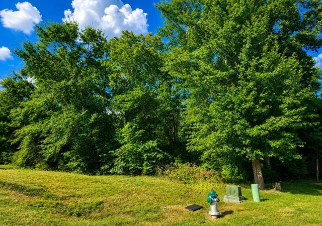 Photo 3 of Land for sale at 12294 Lake Conroe Hills, Willis, TX 77318 | MLS# 46932682 | Listing updated on 2026-07-20