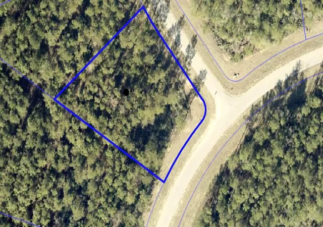 Photo 3 of Land for sale at 15609 Ridge Rock Rd, Willis, TX 77378 | MLS# 89981685 | Listing updated on 2026-06-04