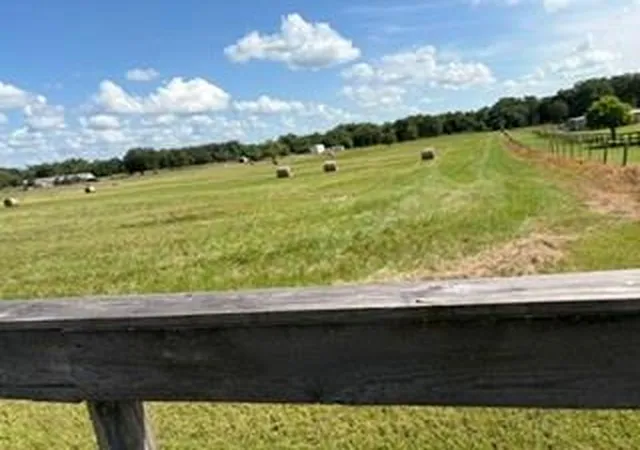 Homes for sale in Madisonville, TX | Tbd Derby Ln, Madisonville, TX 77864 | MLS# 85353077