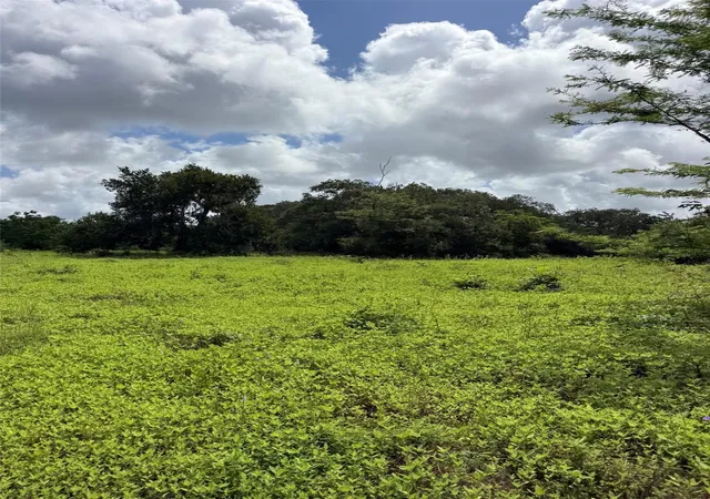 Photo 3 of Land for sale at 0 County Rd 496, Brazoria, TX 77422 | MLS# 55469828 | Listing updated on 2026-09-17