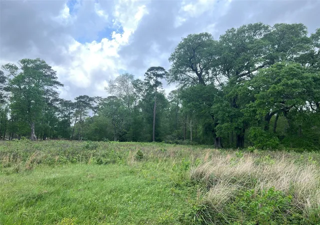 Photo 1 of Land for sale at 000 N Mlk Dr, Liberty, TX 77575 | MLS# 32732342 | Listing updated on 2026-09-11