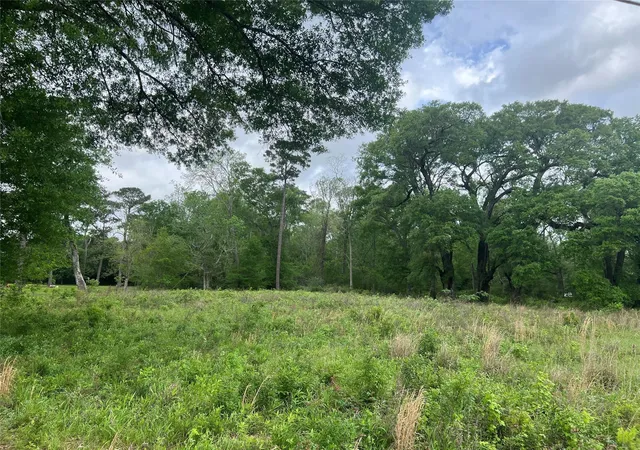 Photo 2 of Land for sale at 000 N Mlk Dr, Liberty, TX 77575 | MLS# 32732342 | Listing updated on 2026-09-11