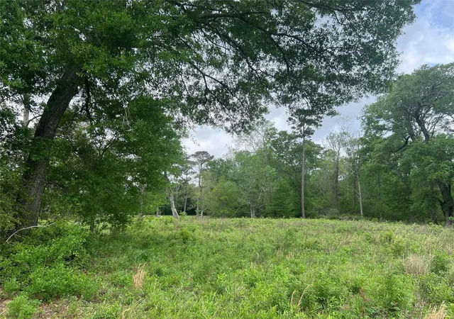 Photo 3 of Land for sale at 000 N Mlk Dr, Liberty, TX 77575 | MLS# 32732342 | Listing updated on 2026-09-11