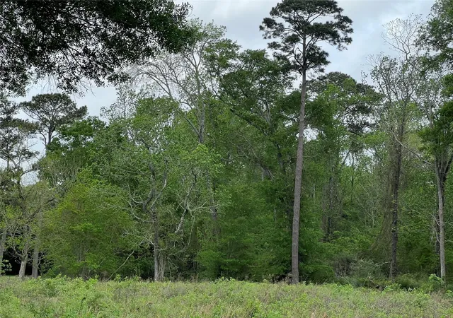 Photo 3 of Land for sale at 000 N Mlk Dr, Liberty, TX 77575 | MLS# 32732342 | Listing updated on 2026-09-11