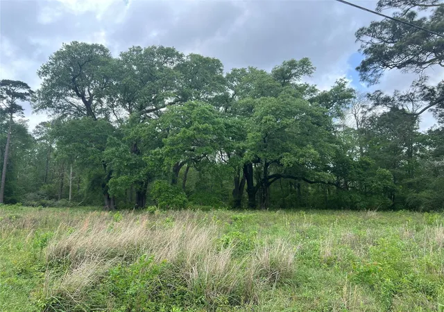 Photo 4 of Land for sale at 000 N Mlk Dr, Liberty, TX 77575 | MLS# 32732342 | Listing updated on 2026-09-11