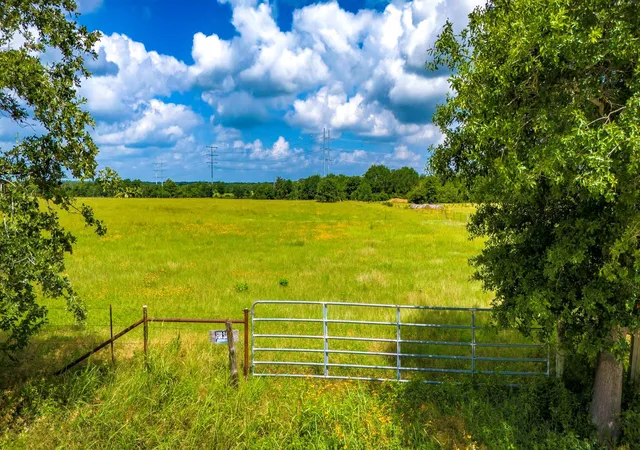 Homes for sale in Bedias, TX | Tbd Cr 124, Bedias, TX 77831 | MLS# 3030464