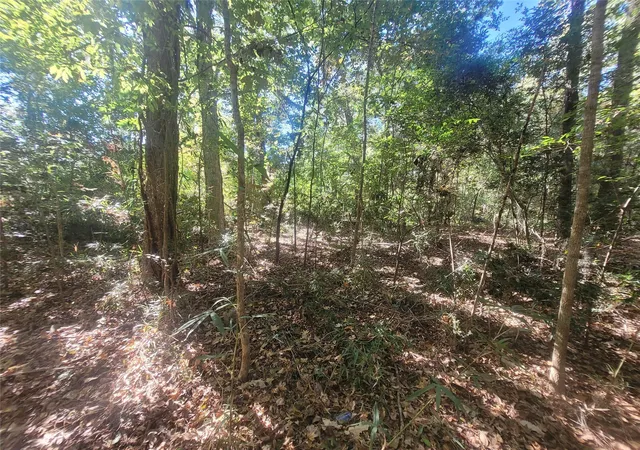 Photo 2 of Land for sale at 0 Lakeside Dr, Cleveland, TX 77327 | MLS# 38040946 | Listing updated on 2025-11-24