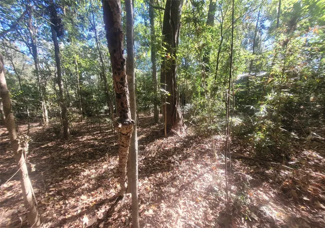 Photo 2 of Land for sale at 0 Lakeside Dr, Cleveland, TX 77327 | MLS# 38040946 | Listing updated on 2025-11-24
